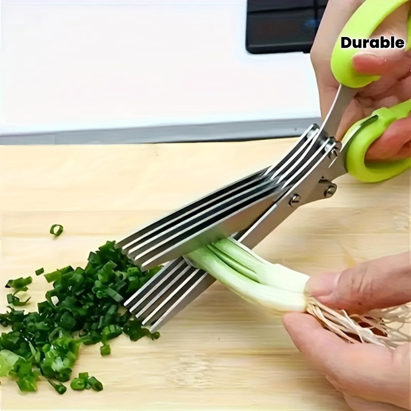 Algae Scraper Blade - 3 Blades Stainless Steel Kitchen Scissors,