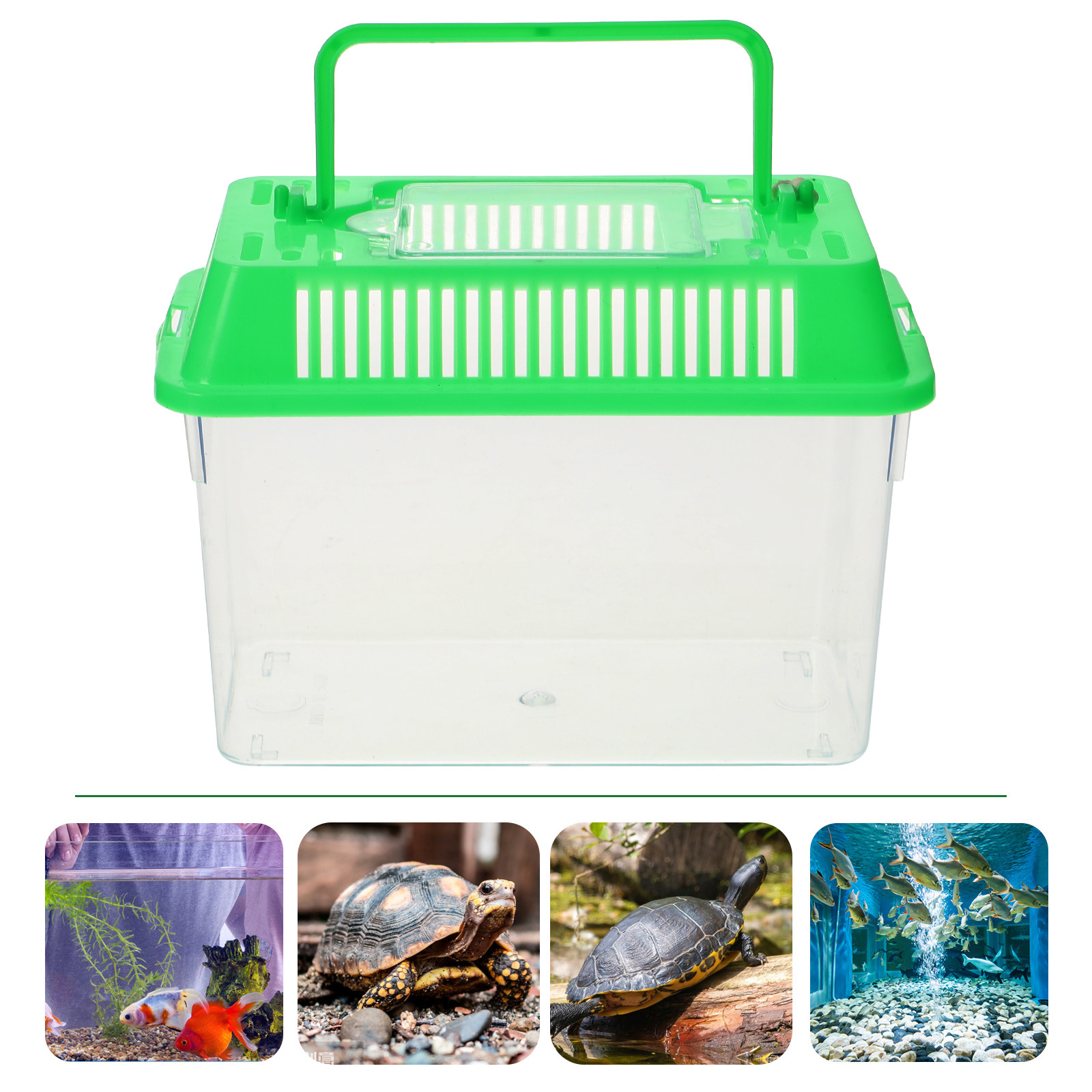 Aquarium Fish Green - Plastic Handheld Mini Fish Tank Portable