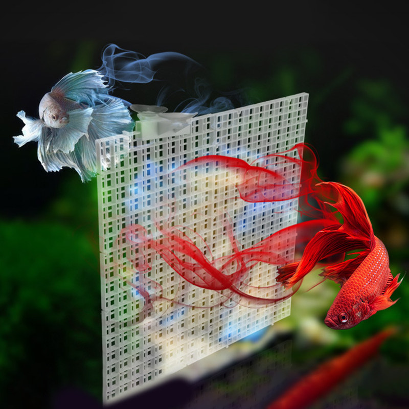 30x15cm 30x30cm Grid Divider P - Aquarium Fish Trap recension och pris