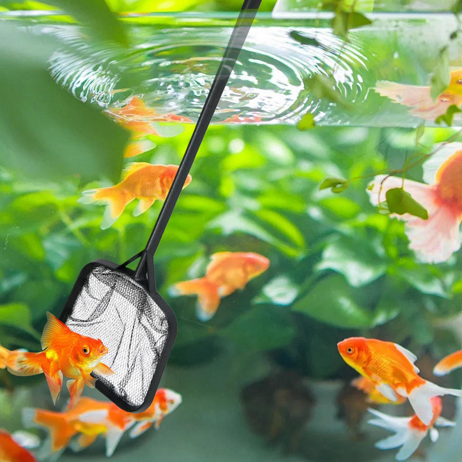 Pool Nets for Cleaning Portabl - Aquarium Fish Trap recension och pris