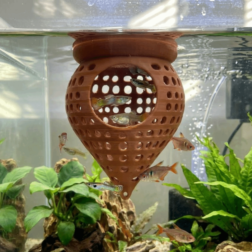 3D Printed Floating Fish Hammo - Aquarium Fish Food recension och pris