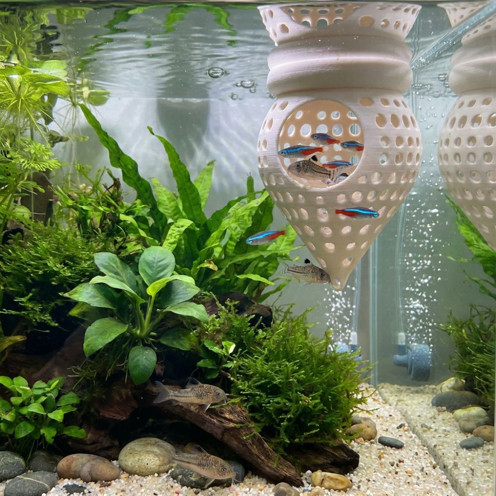 3D Printed Floating Fish Hammo - Aquarium Fish Food recension och pris