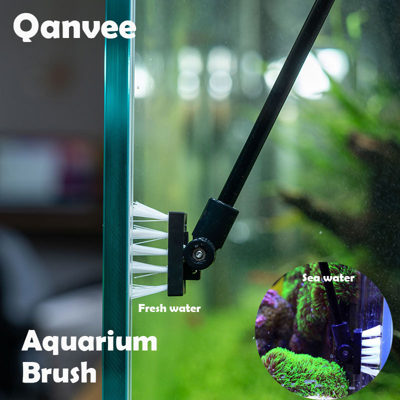 Fishing Cleaning Brush Plant T - Algae Scraper Blade recension och pris
