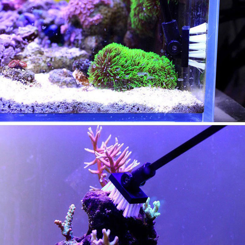 Fishing Cleaning Brush Plant T - Algae Scraper Blade recension och pris