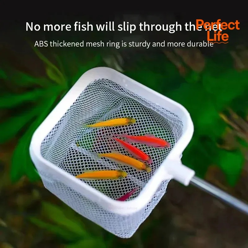 1、2Pcs Stainless Steel Fishing - Aquarium Fish Trap recension och pris