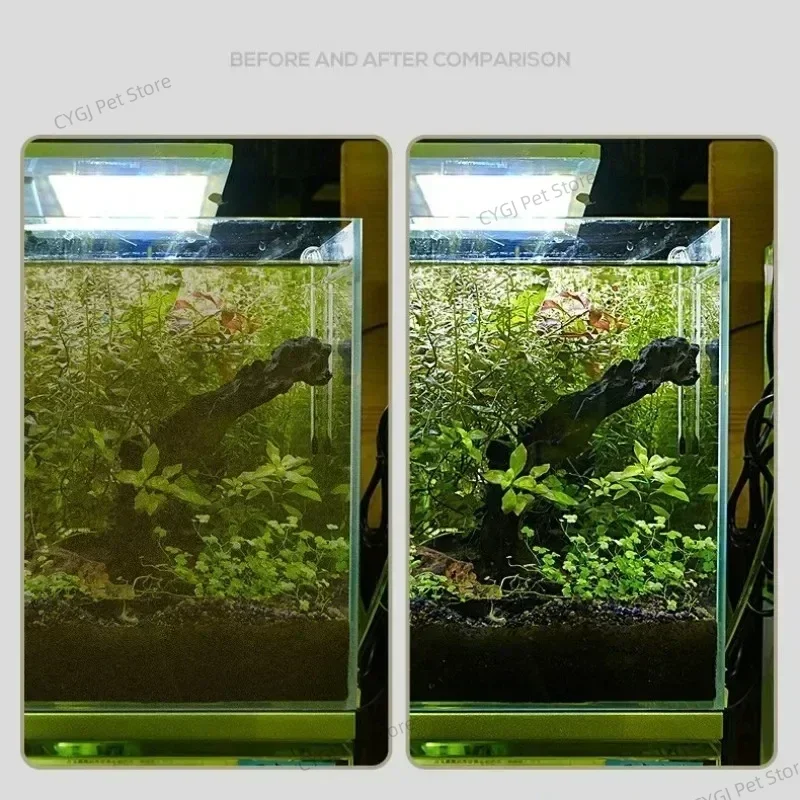 Fish Tank Cleaning Tool Flat S - Algae Scraper Blade recension och pris