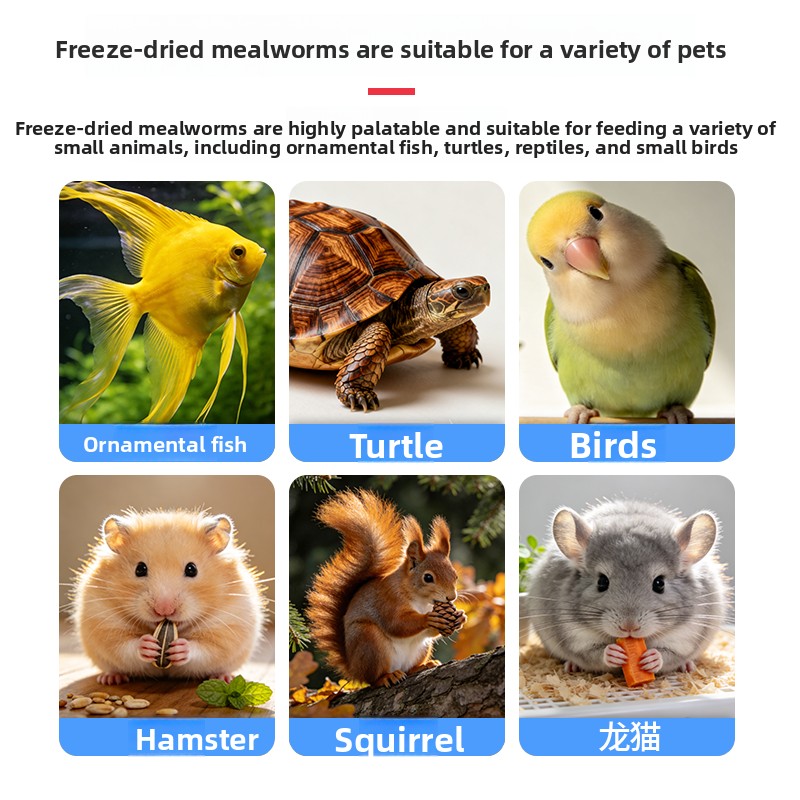 VOONLINE Freeze Dried Mealworm - Aquarium Fish Food recension och pris