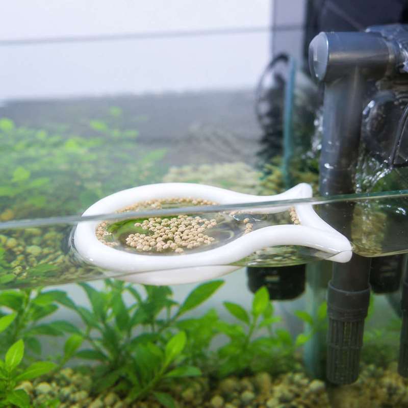 Fish Shaped Floating Feeding R - Aquarium Fish Food recension och pris