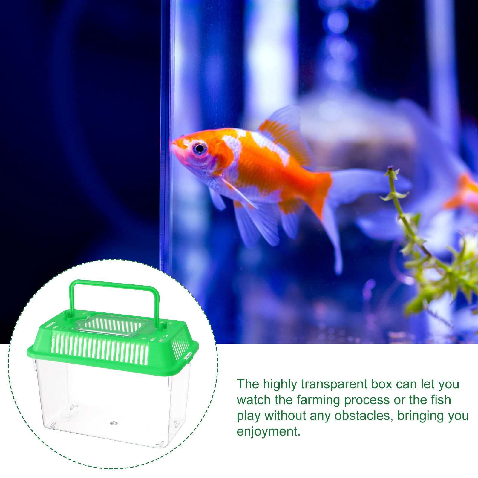 Plastic Handheld Mini Fish Tan - Aquarium Fish Green recension och pris