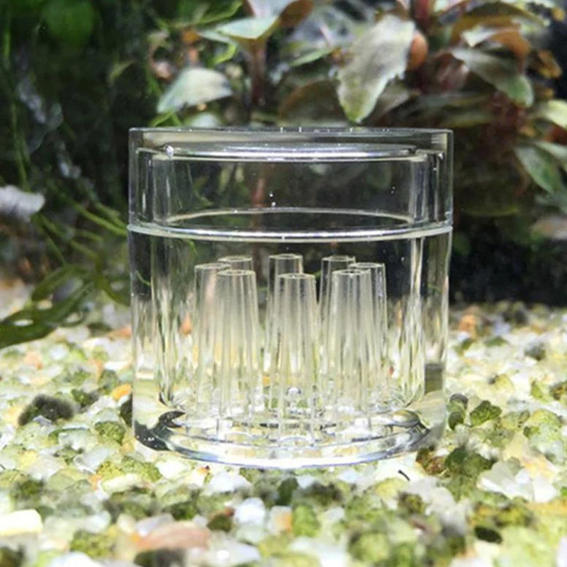 High Transparent  Aquarium Fis - Aquarium Fish Trap recension och pris