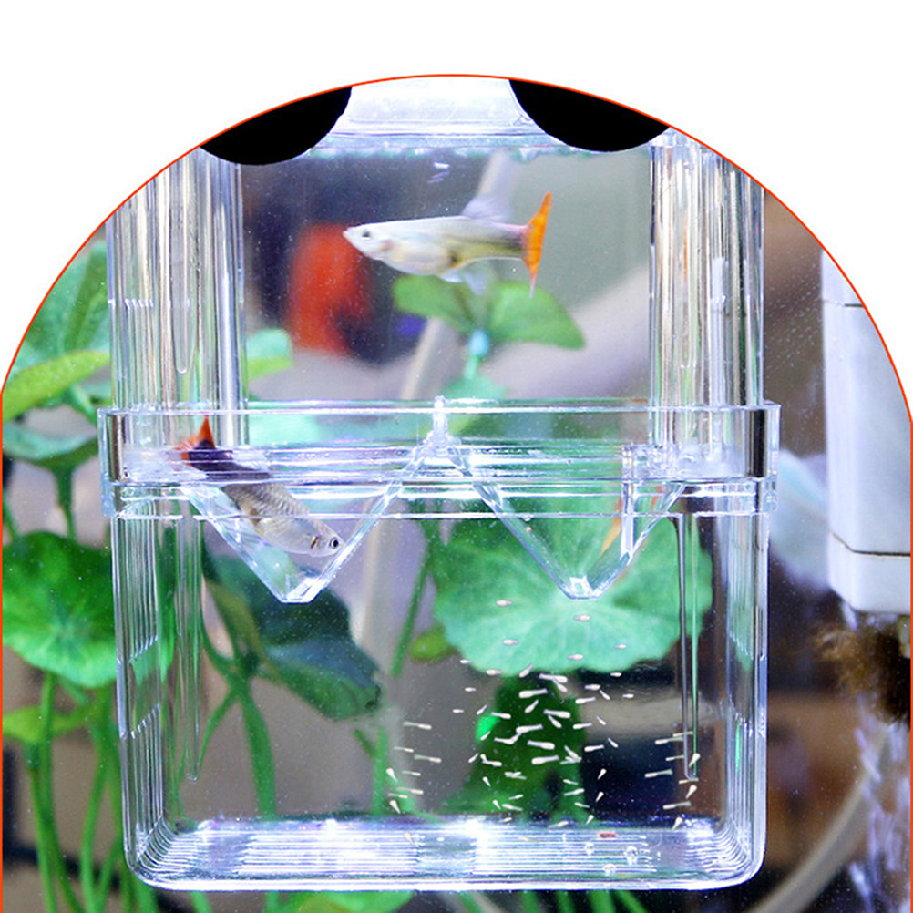 Transparent Fish Breeding Box  - Aquarium Fish Rate recension och pris