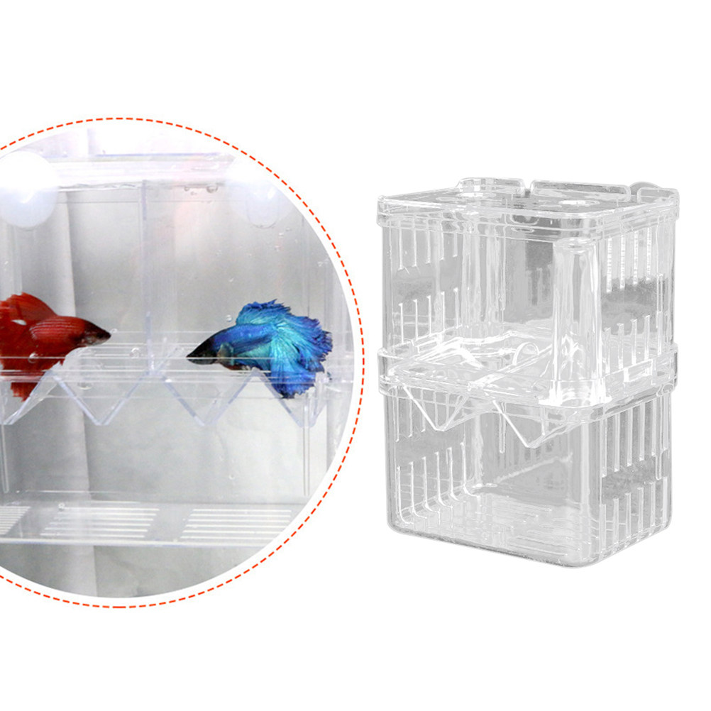 Transparent Fish Breeding Box  - Aquarium Fish Rate recension och pris