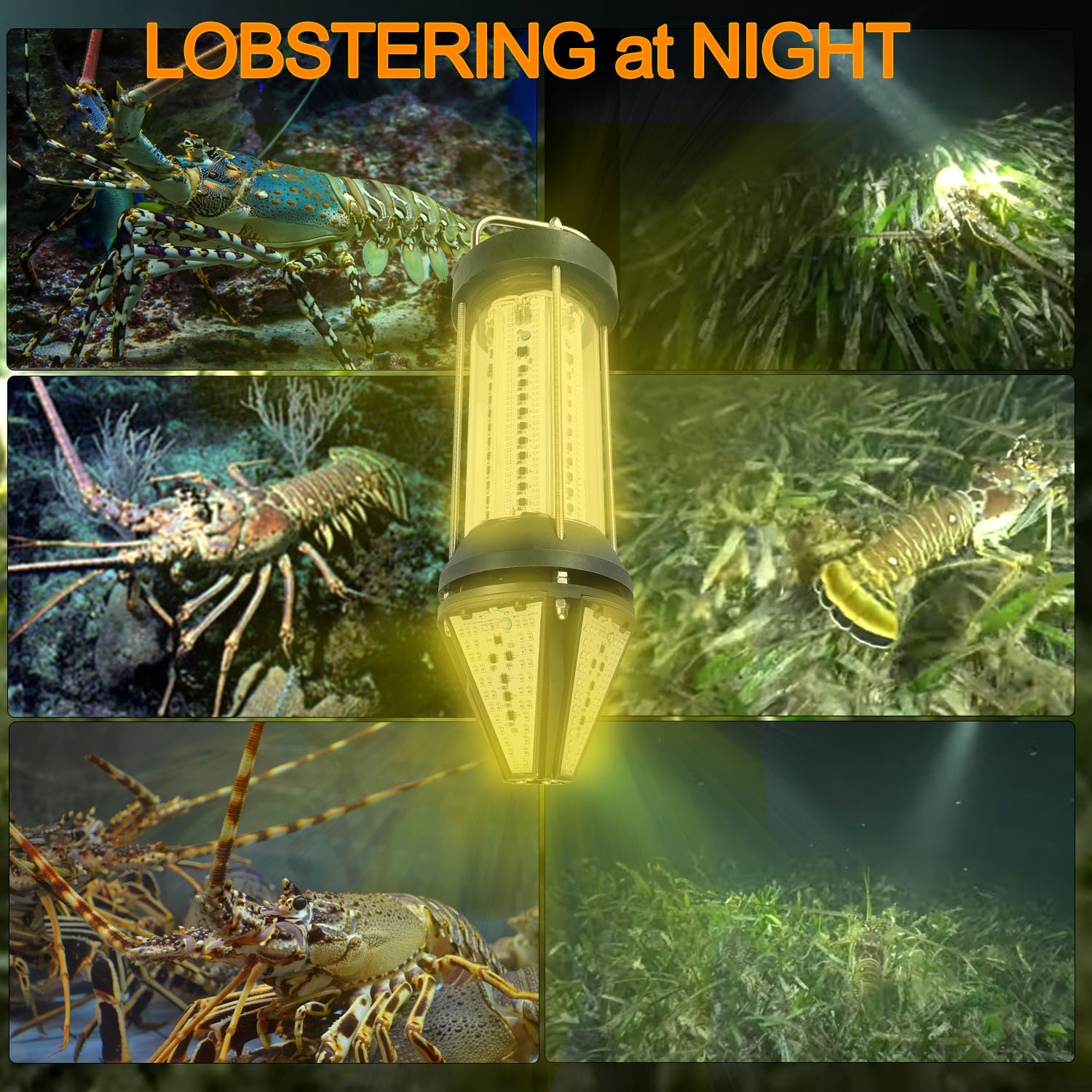 Green Blue White Yellow Outdoo - Aquarium Fish Green recension och pris