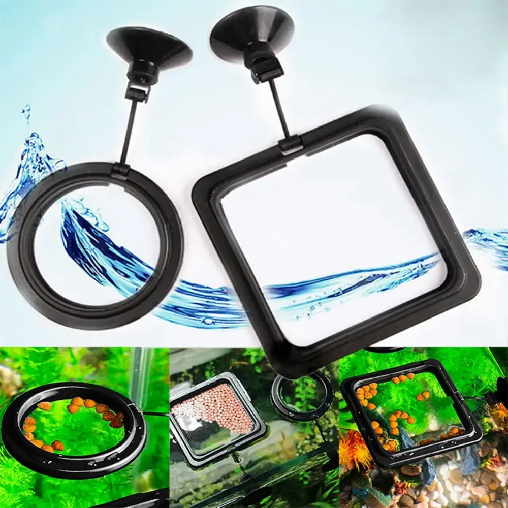 Feed Suction Cup Aquarium Feed - Aquarium Fish Food recension och pris