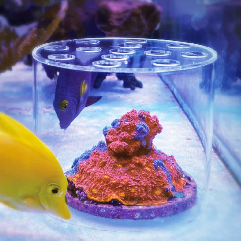 Vastocean Aquarium Arcylic Cor - Aquarium Fish Food recension och pris