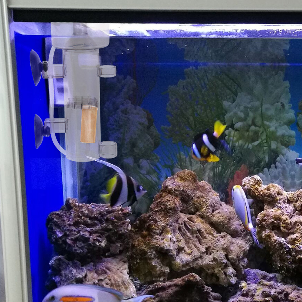 Protein Skimmer Acrylic Aquari - Aquarium Fish Accessories recension och pris