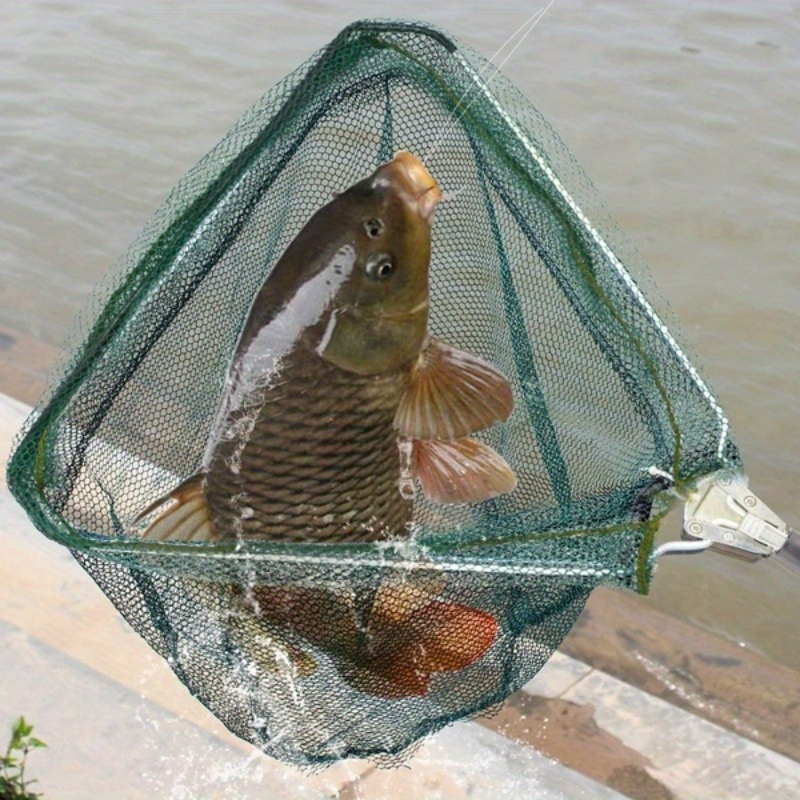 Foldable Triangle Fishing Land - Fish Net Handle recension och pris
