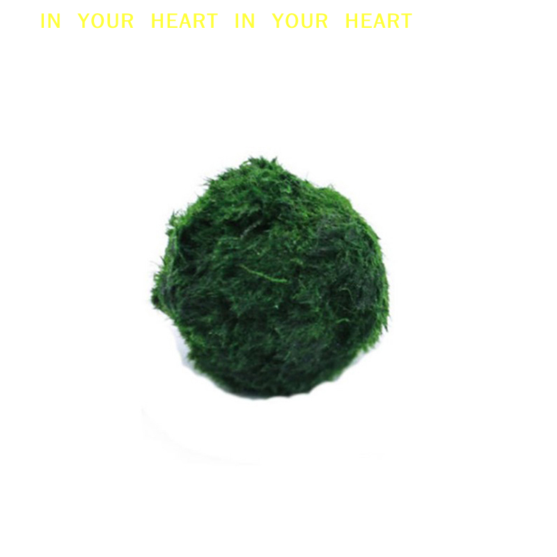 【X】3-4cm Marimo Moss Balls Liv - Aquarium Fish Green recension och pris