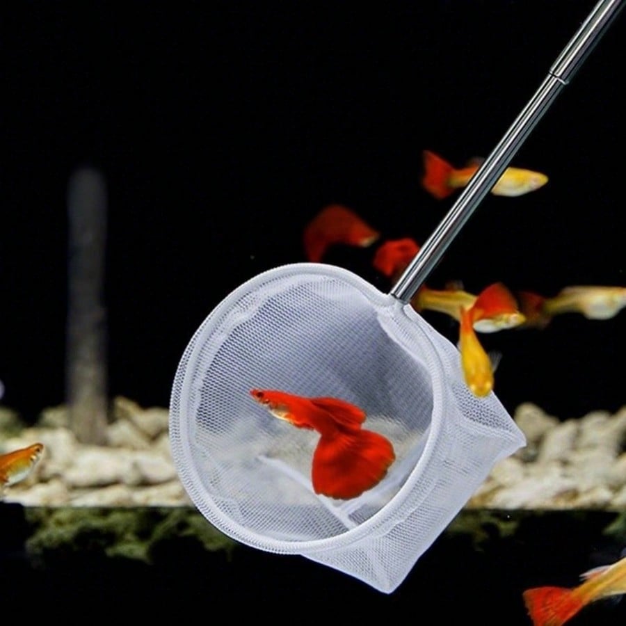 Aquarium Fish Net - a Retracta - Fish Net Handle recension och pris