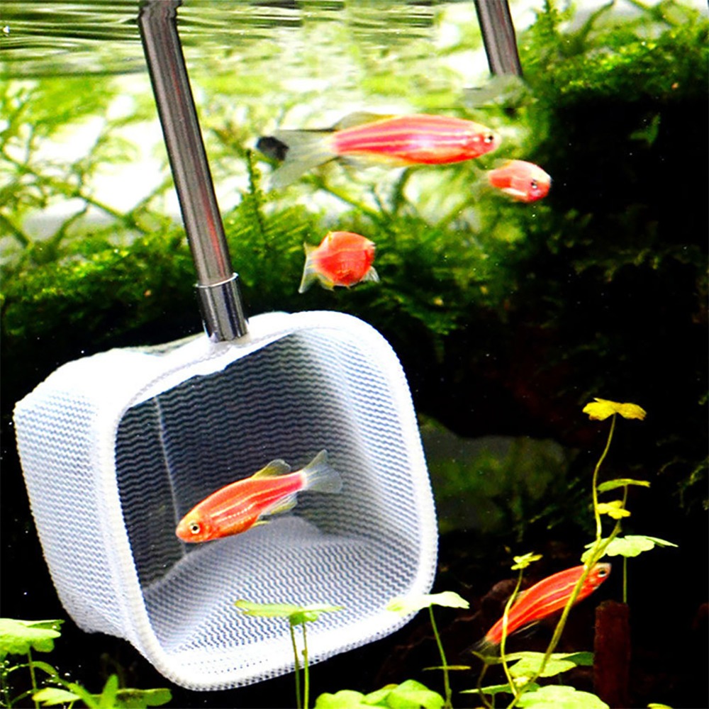 Stainless Steel Handle Extenda - Fish Net Handle recension och pris