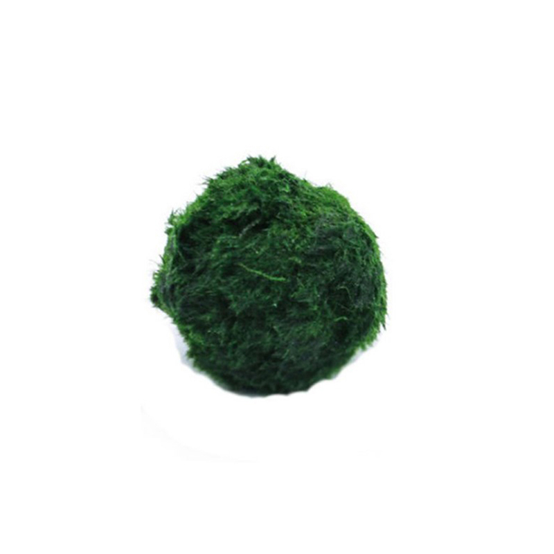 Marimo Moss Balls Live Aquariu - Aquarium Fish Green recension och pris