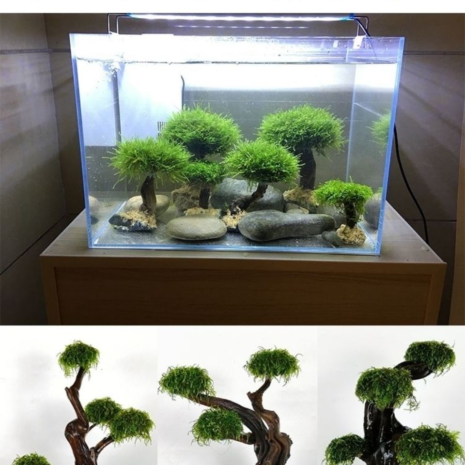 Fish tank greening wood frame  - Aquarium Fish Green recension och pris