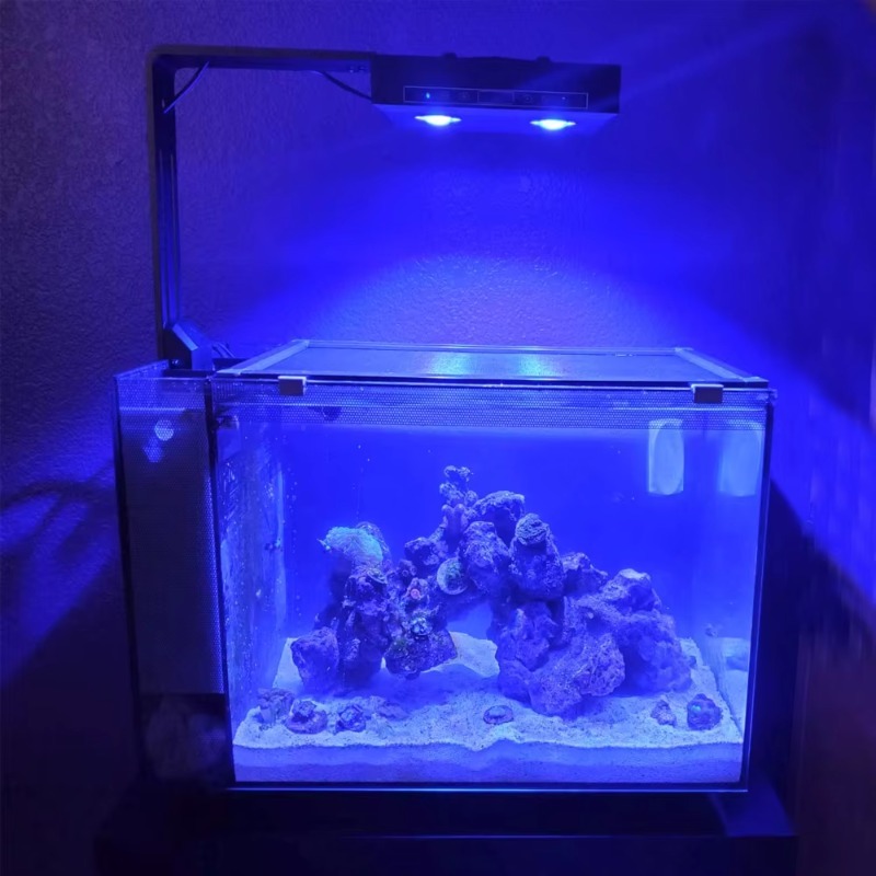 China Supplier Dimmable 95W Fu - Aquarium Fish Supplier recension och pris