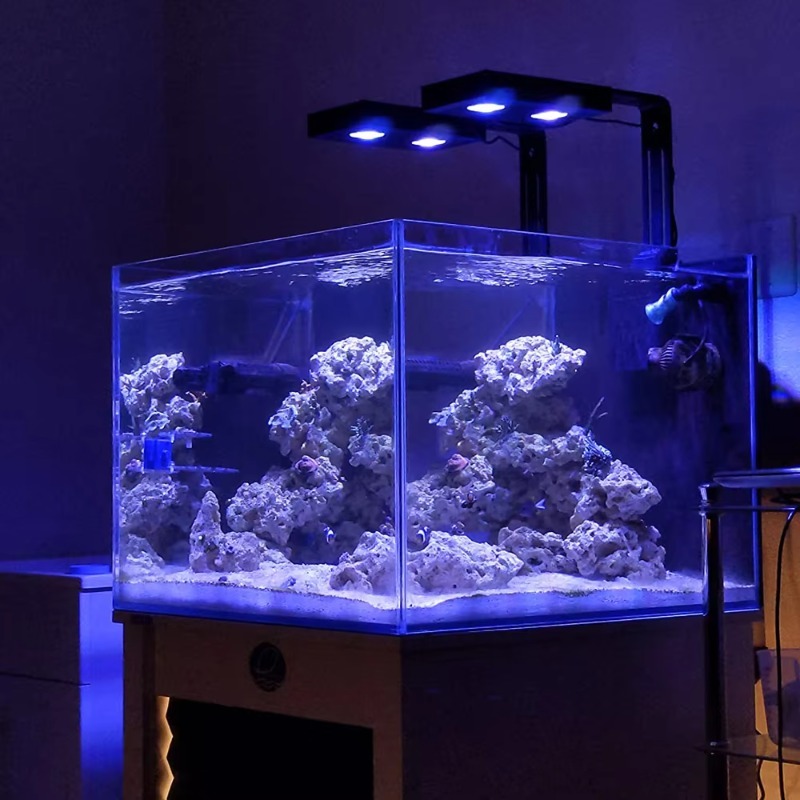China Supplier Dimmable 95W Fu - Aquarium Fish Supplier recension och pris