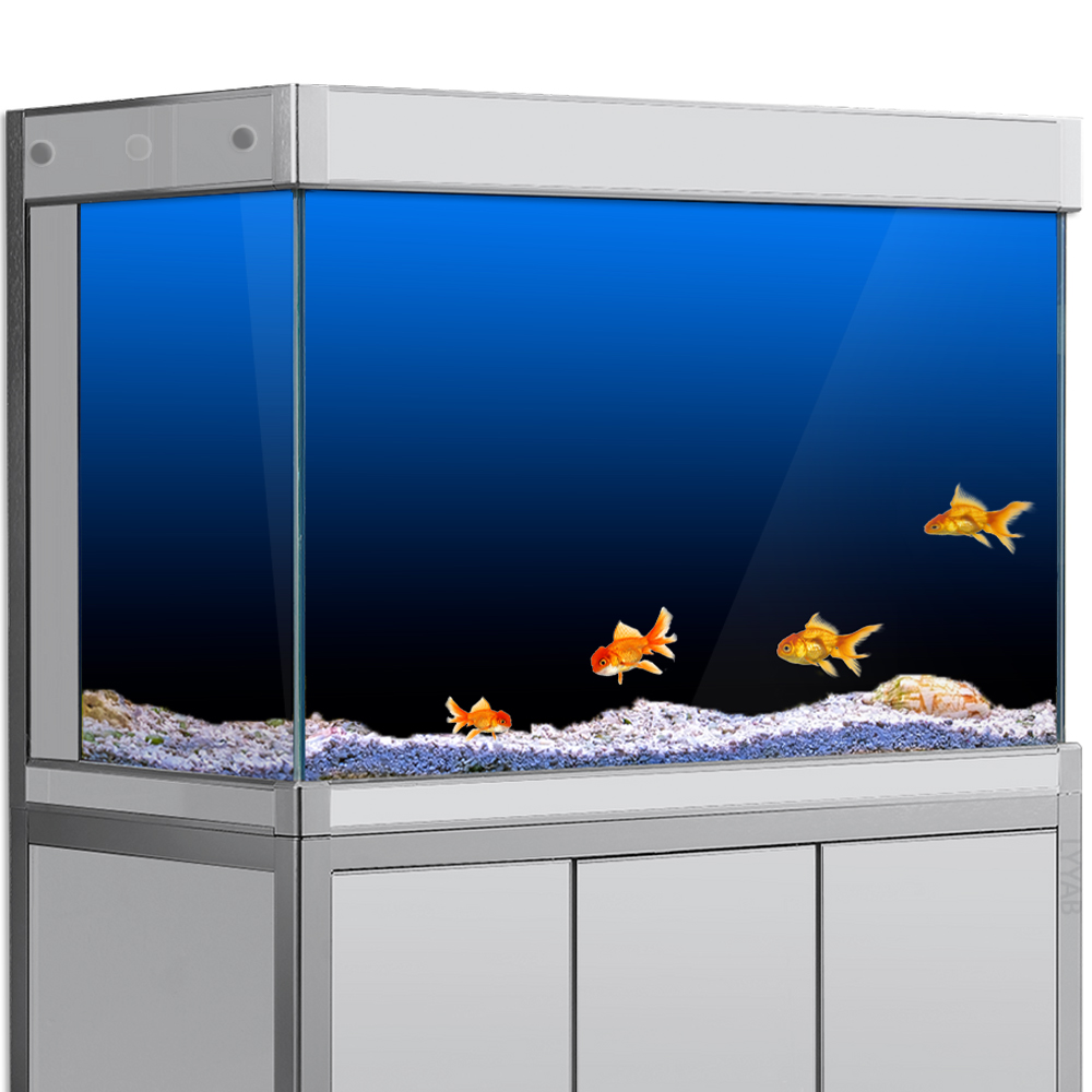 Fish Tank Background Sticker B - Aquarium Fish Green recension och pris