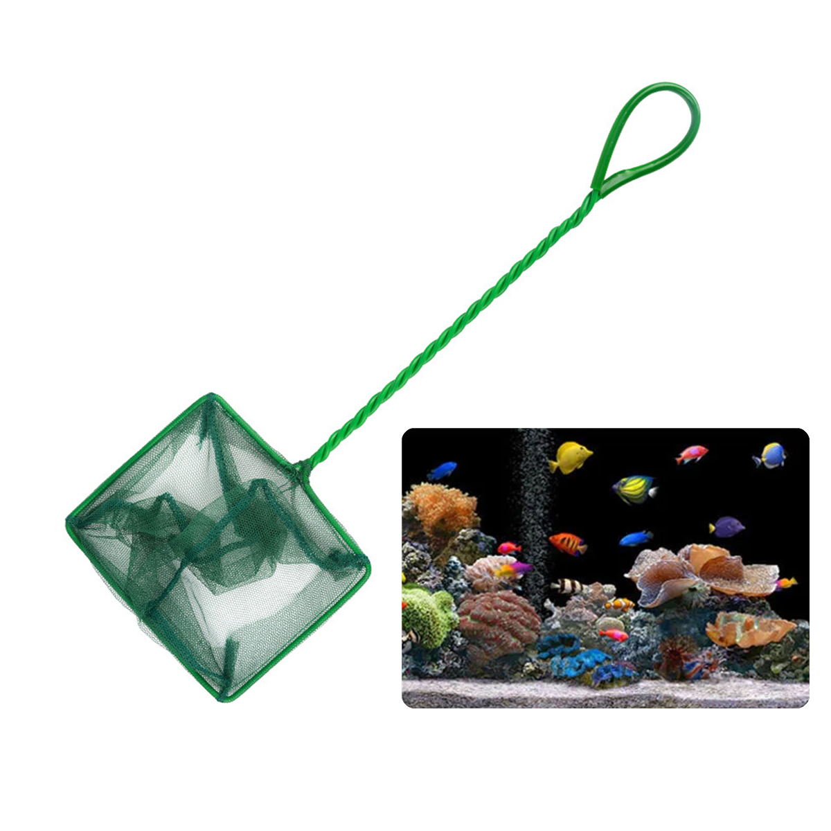 3~10 Inch Portable Nylon Green - Aquarium Fish Trap recension och pris