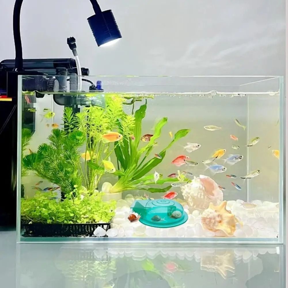 Freshwater Saltwater Aquarium  - Aquarium Fish Trap recension och pris