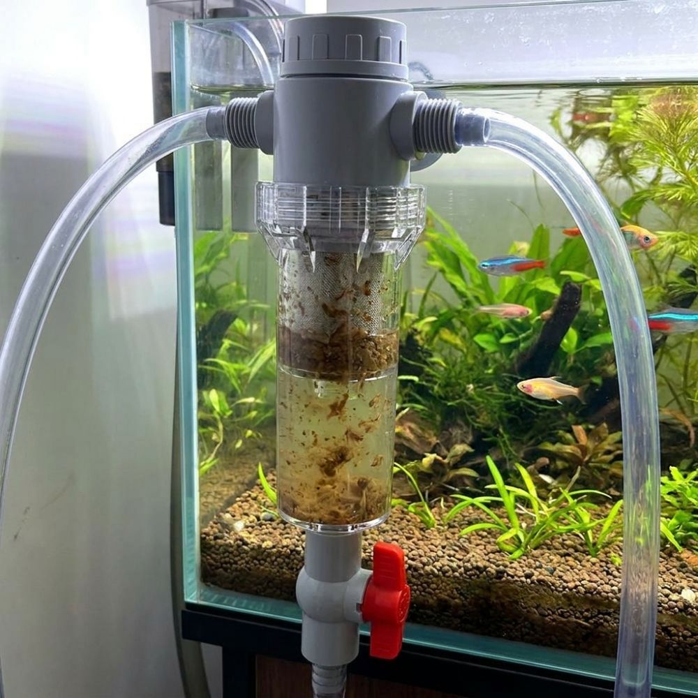 1/2 Thread Aquarium Feces Sepa - Aquarium Fish Rate recension och pris