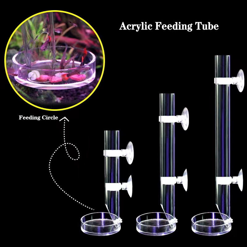 1Pcs Acrylic Aquarium Feeder T - Aquarium Fish Food recension och pris